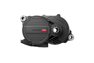 Avinox Pursues Power with Purpose