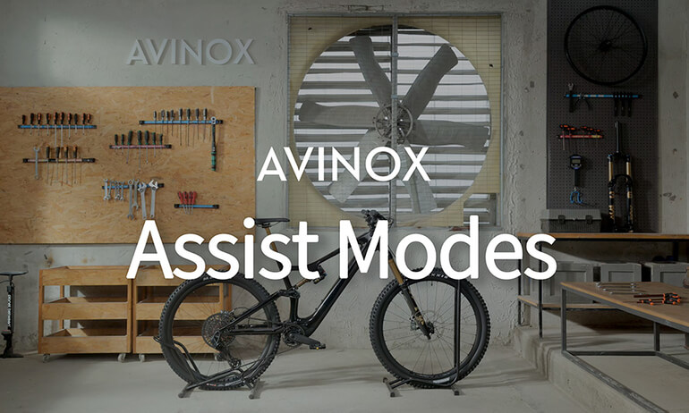 Avinox | Assist Modes